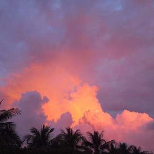 丛林（prod by 9zi）