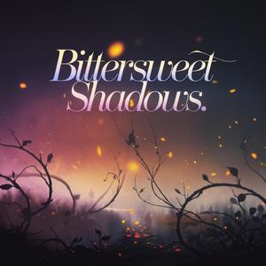 Bittersweet Shadows (Explicit)