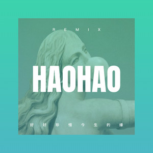 好好珍惜今生的缘 (Remix)