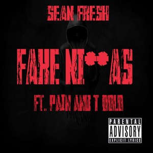 Fake Niggas (feat. Pain & T-Dolo)