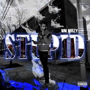 Stupid (Explicit)