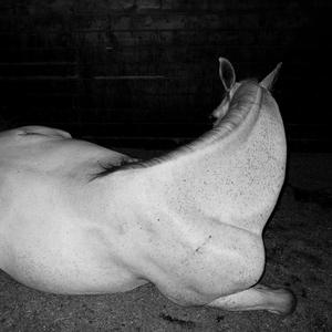 truth never been told like this 87bpm (Explicit)