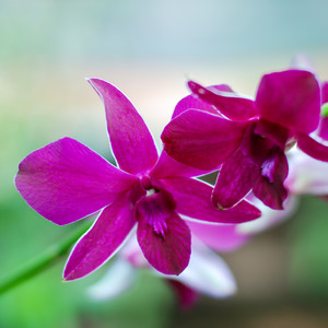 He Thinks I'm Not The One