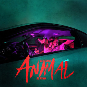 Animal