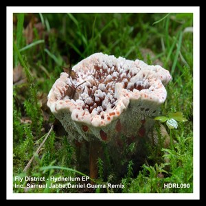 Mullendyh (Samuel Jabba Remix)