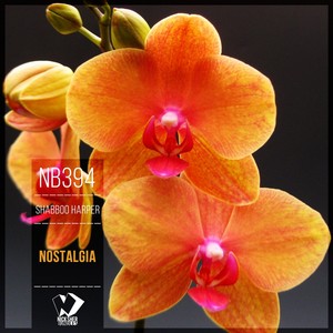 Nostalgia (Original Mix)