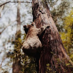 Salvage | The classical Series | Symphonic Waltz