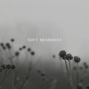 Soft Memories