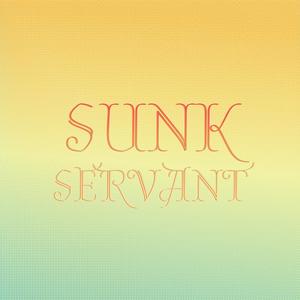 Sunk Servant