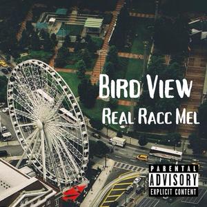 Bird View (Explicit)