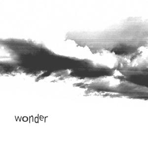 Wonder