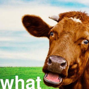 Yung Tupperware - Tupperware Rap