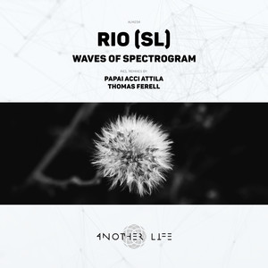 Waves of Spectrogram (Papai ACCI Attila Remix)