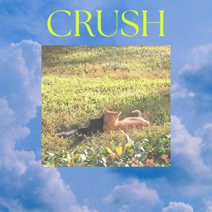 crush (Explicit)