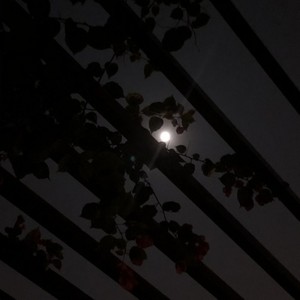 Lil Peep-Haunt U (Smurfs remix)