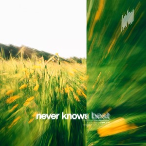 Never Knows Best (Mikko M. Koskinen Remix)