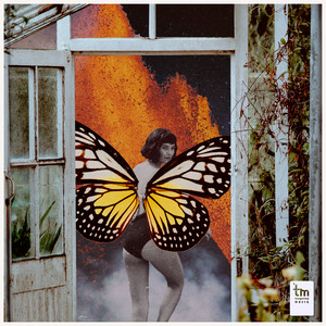 Samba de Fim de Tarde (Reprise)