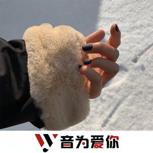 风遇山止 (DJ版)