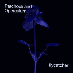 Patchouli and Operculum