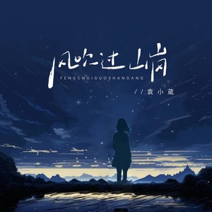 风吹过山岗 (DJ九零版)封面