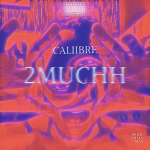 2MUCHH (Explicit)