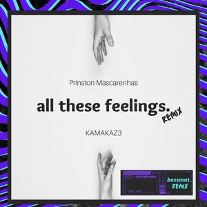 Feelings (feat. Prinston Mascarenhas & KAMAKAZ3) [Bassmnt Remix]