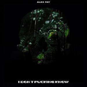 I Really Hate Making Music, Trying to Make Something that My Brain Comes up With