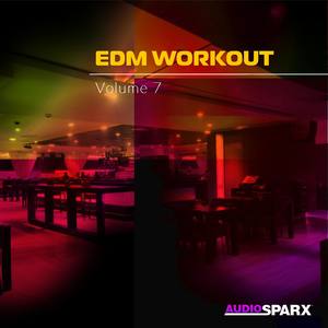 EDM Workout Volume 7