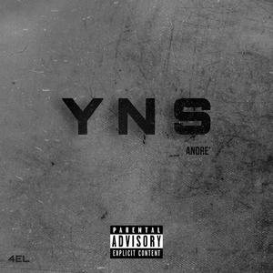 YNS (Explicit)