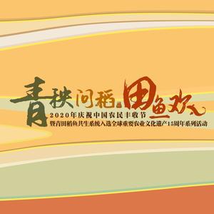 青秧问稻田鱼欢