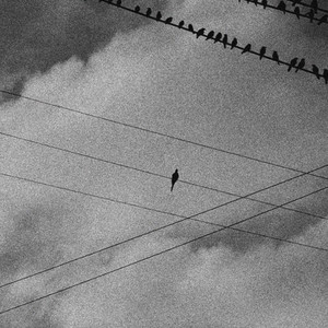 I Just Want to Be the One You Love