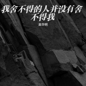 我舍不得的人并没有舍不得我伴奏 (伴奏)