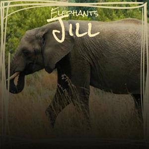 Elephants Jill