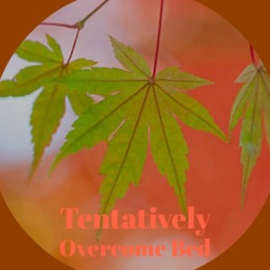 Destiny Calls 8 No Drums