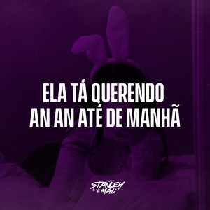 DJ Stanley - Ela Tá Querendo an an Até de Manhã (Explicit)