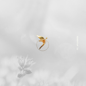 Fragments of Her (Radio Edit)