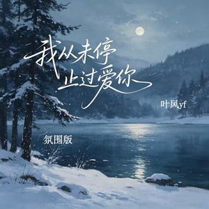 我从未停止爱过你 (氛围版)