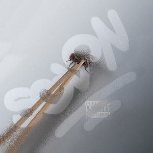 Mr. Miyagi (Explicit)