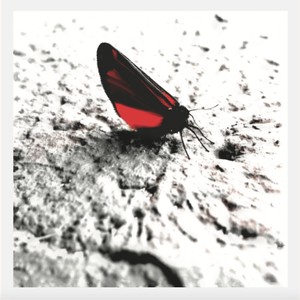 Where you are we are here