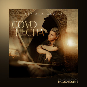 Como Flecha (Playback)