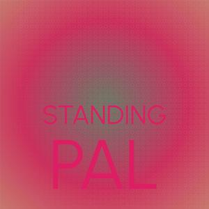 Standing Pal