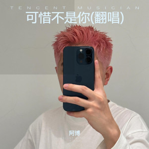 可惜不是你