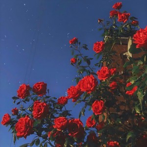 Don't kill my vibe (PROF:furyl)