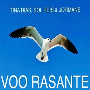 Voo Rasante