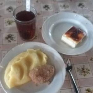 nervové vlákna - (2022 demo)