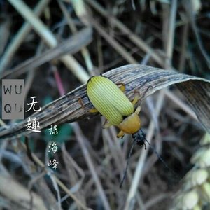 从西单到天堂 (Demo)