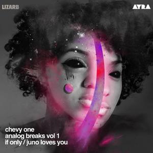 Analog Breaks Vol 1