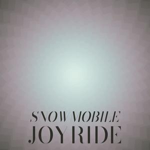 Snowmobile Joyride