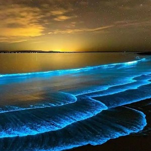 不再联系 (Demo)