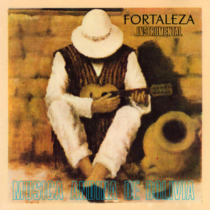 Musica Andina de Bolivia (Instrumental)